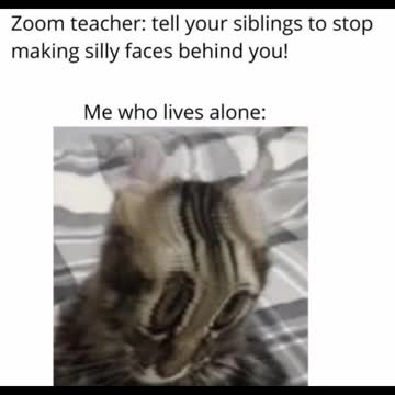 Memes that might make you laugh 1 #shorts