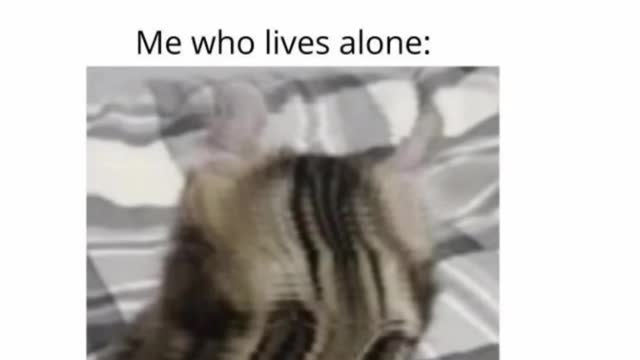 Memes that might make you laugh 1 #shorts