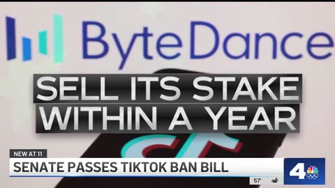 Senate passes TikTok ban bill