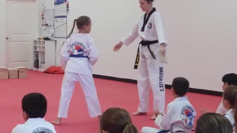 Noa TKD Test 3