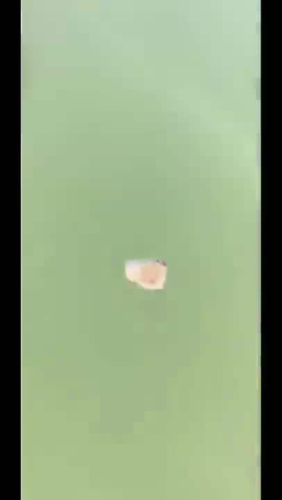 Don't drop your phone