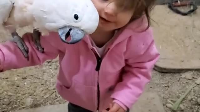LITTLE GIRL AND PARROT