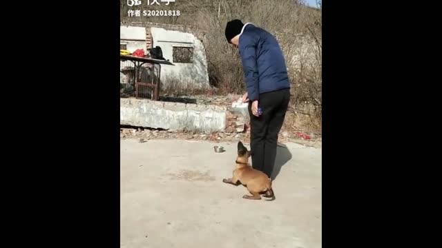 Funniest Animals - Best Of The 2022 Funny Animal Videos #5