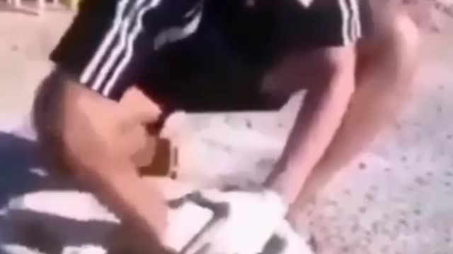 Save the innocent dog from death 😍😍😍😍