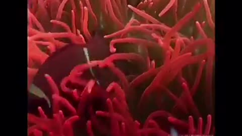 Time with God - August 3