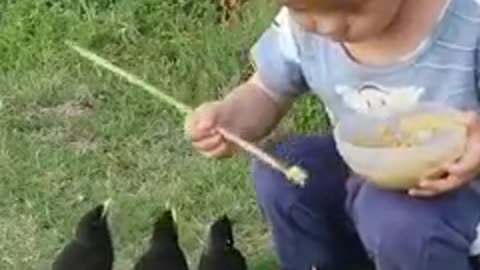 Beautiful Çute Baby Giving Feed to Bird's,Àmazing Sçene