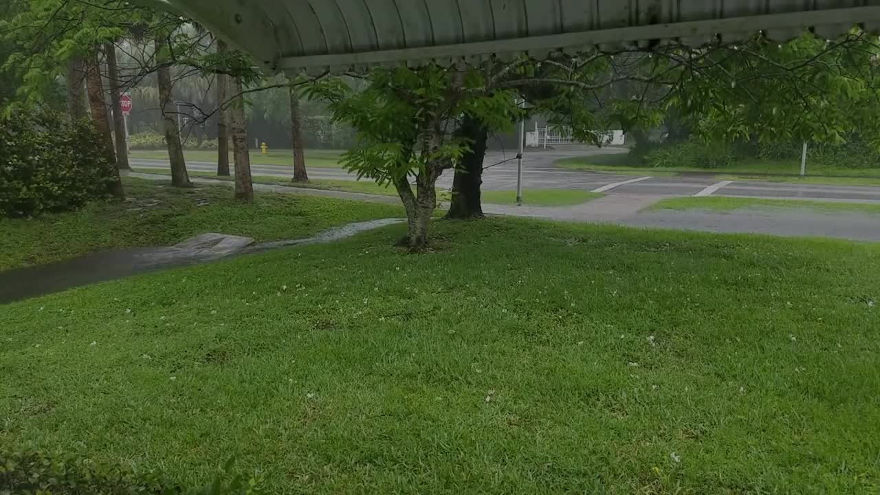 Rain day routine
