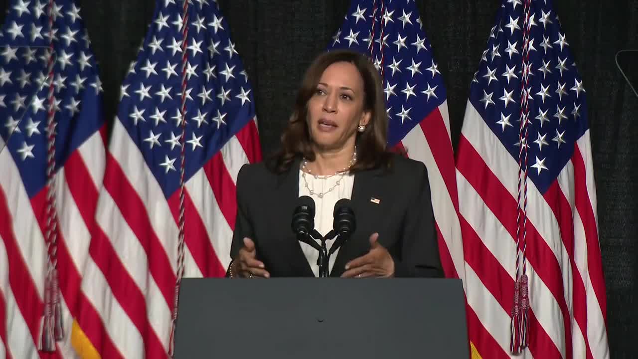 Vice President Kamala Harris speaks at the 2022 Blue Palmetto Dinner