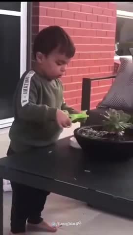 Dad asks kid "Why Can't We Go To The Park?