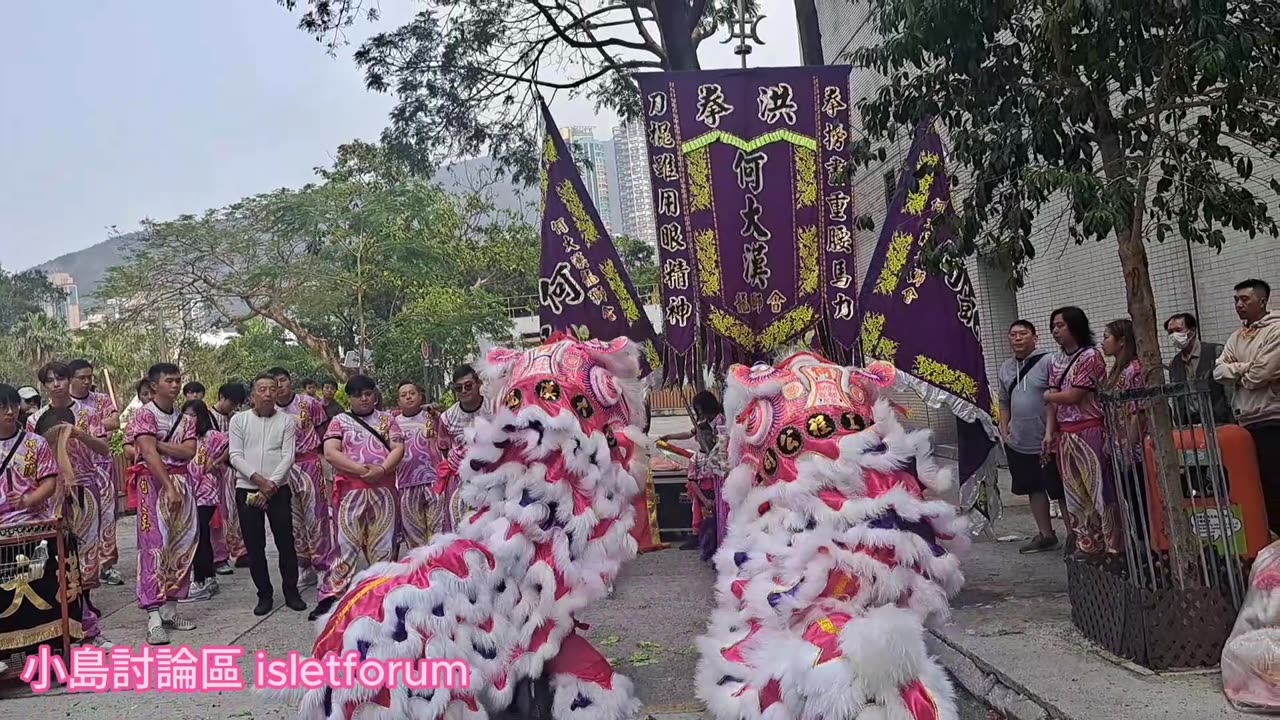 #洪拳何大漢龍獅會