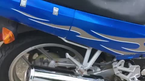 Motorcycle 🏍 by jack the Irish wolfhound