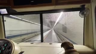 First trip for the Dogs in RV