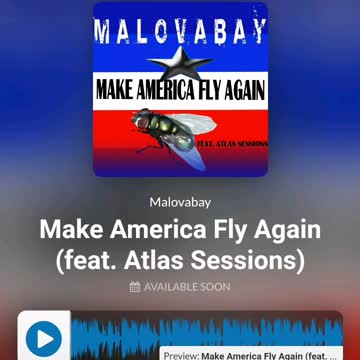 MAKE AMERICA FLY AGAIN