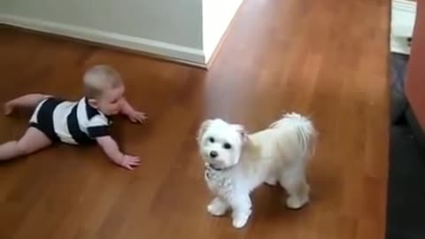 baby has fun with your dog 👶 🐩 😍