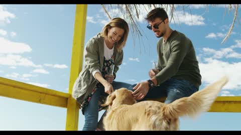 Couple With A Dog enjoying time together On The Beach