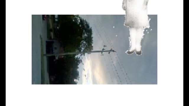tonight video