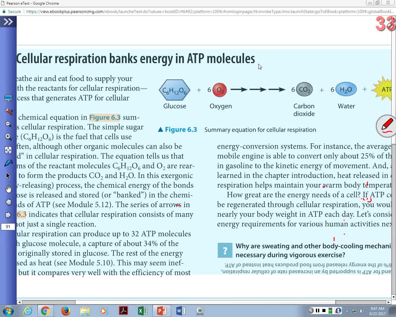 Cellular Respiration Part 1