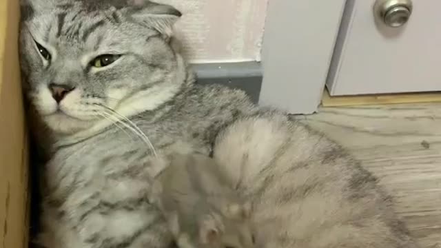When it's way too hot to work