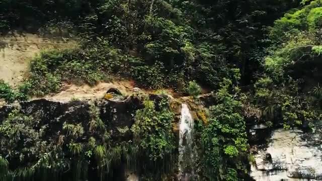 Amazon Rainforest | The World in 4K