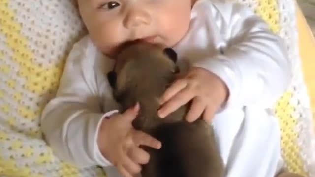 Adorable Babies Playing With Dogs Compilation 2021