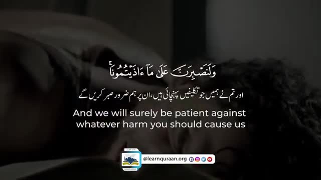 Beutiful Qur'an Recitation best to listen