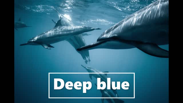 soft music | meditation music | relaxing music