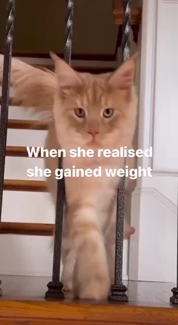 The extra weight sneaks up on you 🤣🤣