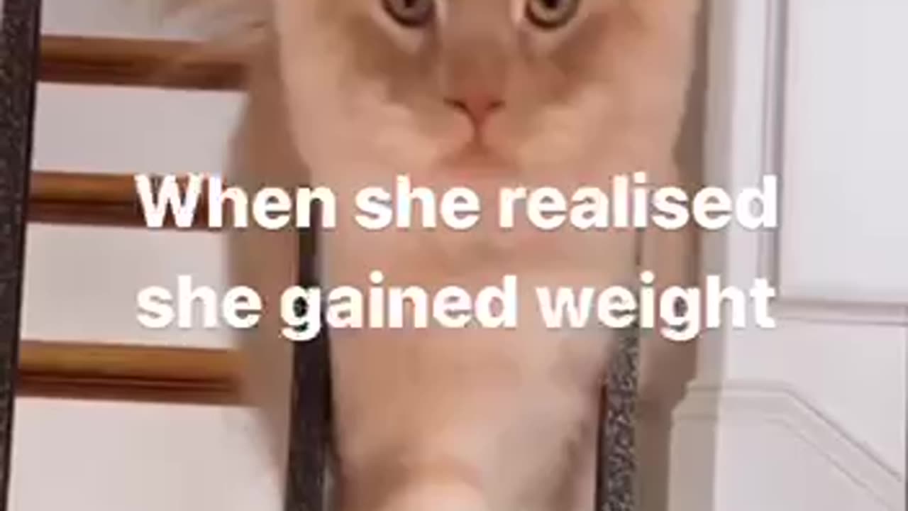 The extra weight sneaks up on you 🤣🤣