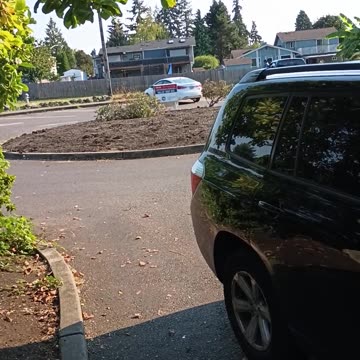 Dropbox watching by way of Commander Salty