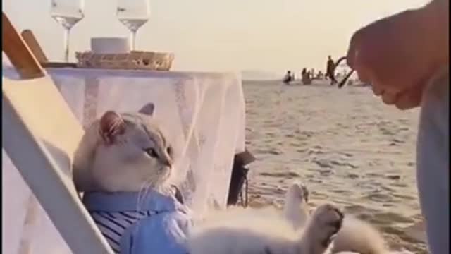 cat is owner enjoying a moment together