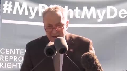 Did Schumer and the Dems Inspire an Attempt to Murder Justice Kavanaugh