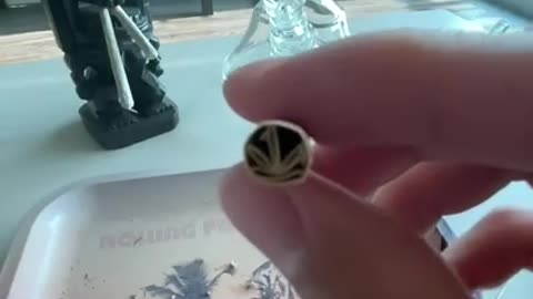 weed leaf joint filter