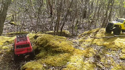 Ftx rc crawler jumping