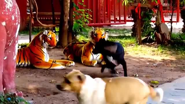 Prank dog and fake tiger vs dog prank video funny