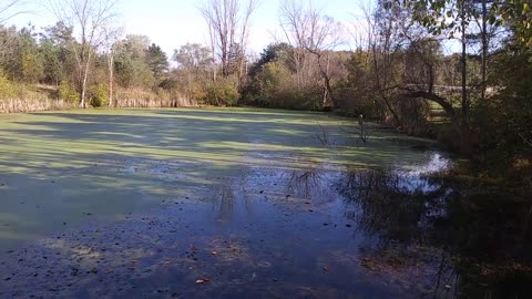 Judge's Lake Hinckley Reservation