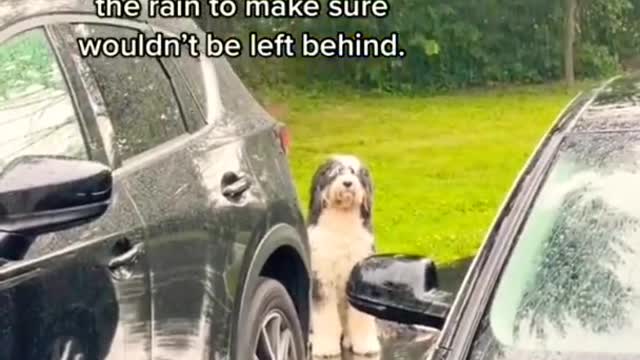 She Stood by the car in the rain