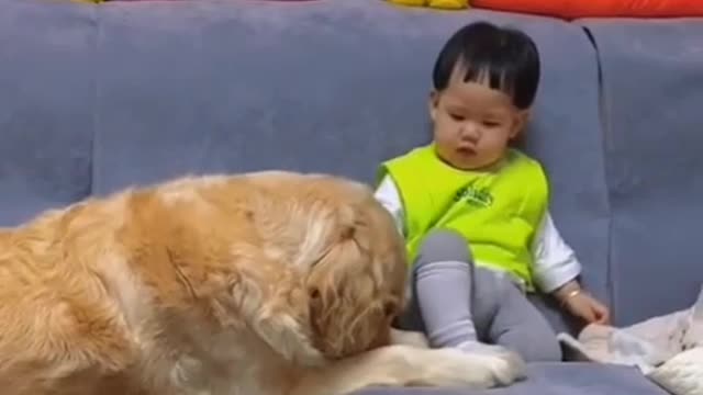 MUST SEE Dog Introducing Him Self To A Baby Boy