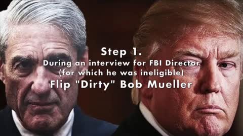 WHY DID GENERAL FLYNN PLEAD GUILTY?