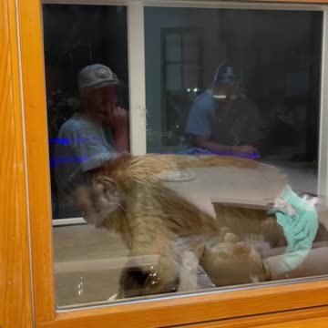 Hey it’s me! Gaitlyn Rae