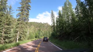Wow! Custer State Park South Dakota