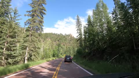 Wow! Custer State Park South Dakota