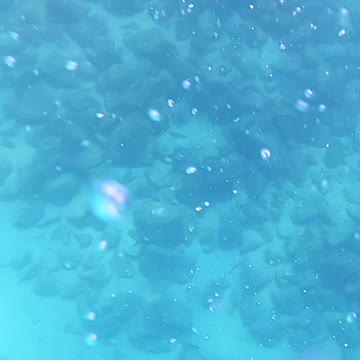 Underwater Statues Destin, FL