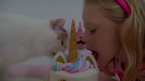 Cute Cat ||Cute Animals