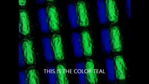Computer Monitor Screen Under Microscope
