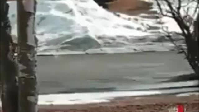 ANGRY GARBAGE MAN LOSES IT!