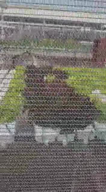 Menlyn Park Urban Farm Rooftop