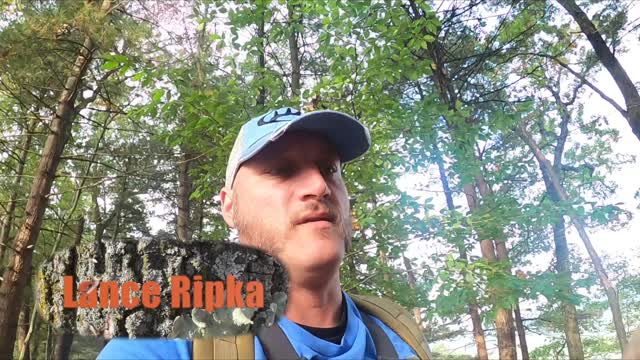 Bald Eagle 2021 Season