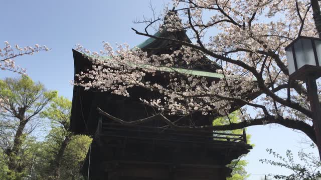 お幸せに