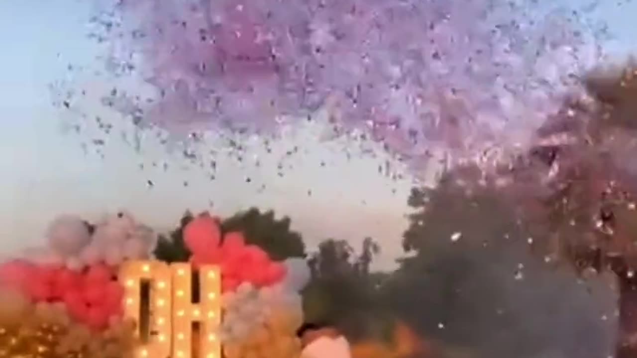 Plane crashes during a ‘gender reveal party’. The pilot died.