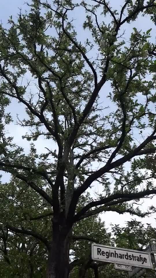 Himmel in Berlin am 20. Mai 2022 um 16 Uhr